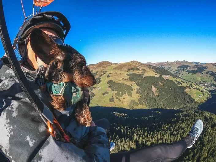 Paragliding in Zell am See mit Hund
