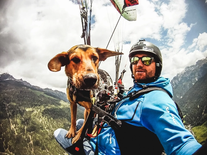 Paragliding Zell am See mit Hund